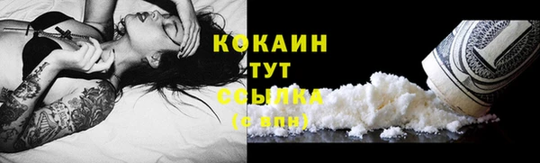 спайс Бородино