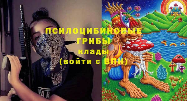 дживик Ростов